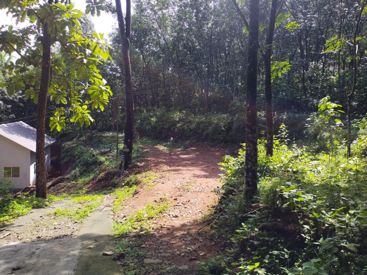 Nature'S Nest Thadiyoor Villa Kozhancheri Exterior photo
