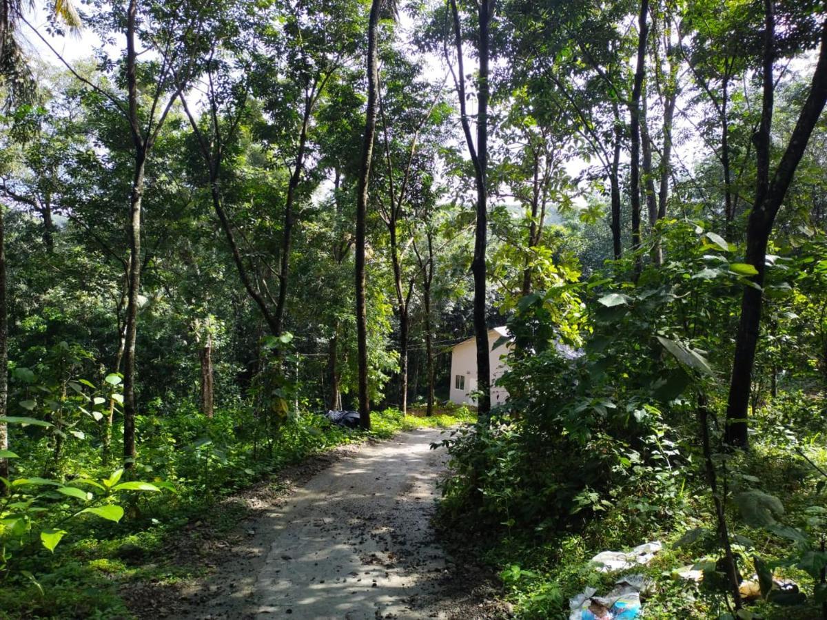 Nature'S Nest Thadiyoor Villa Kozhancheri Exterior photo